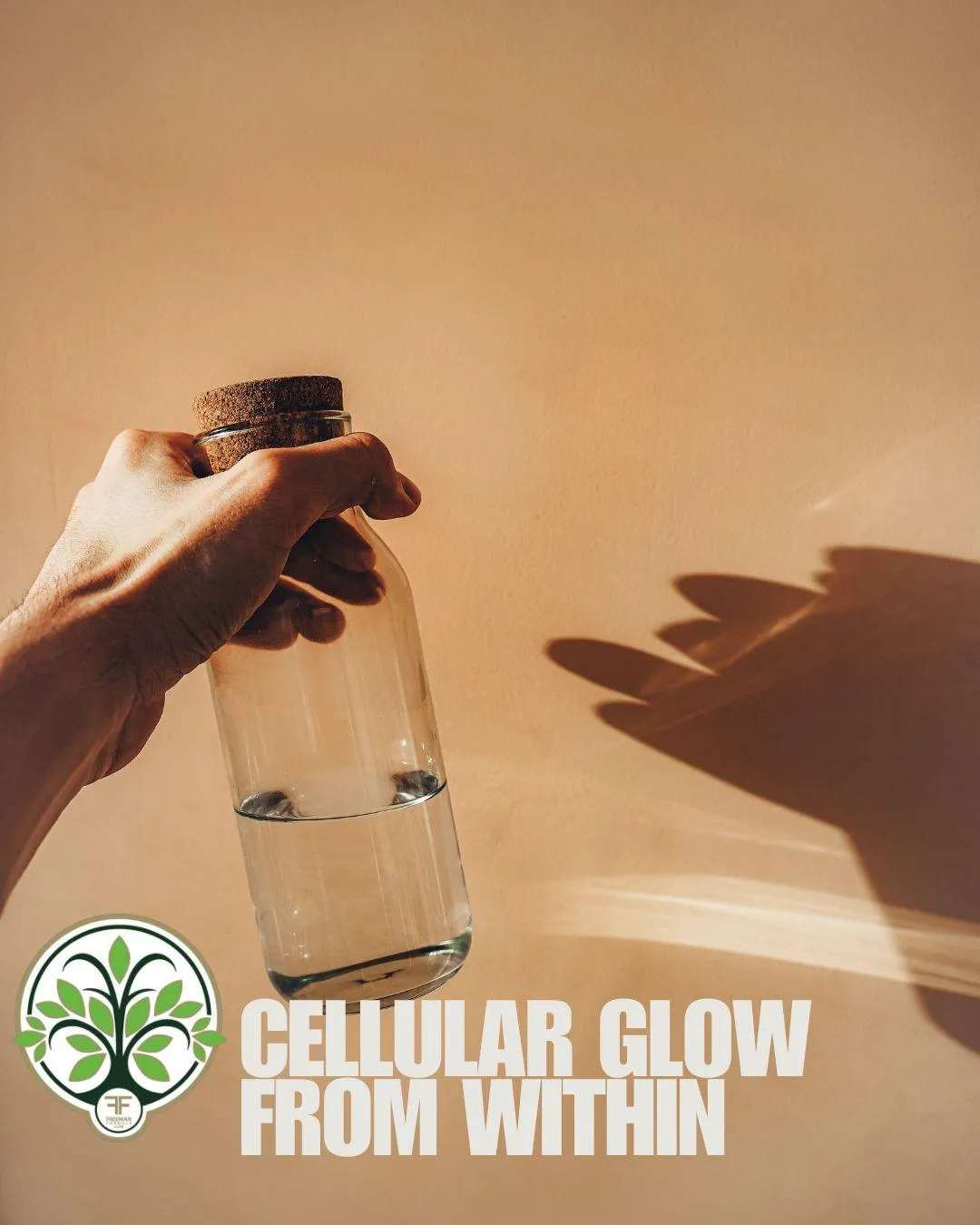 cellular nutrition foundational superfood, daily raw high frequency food