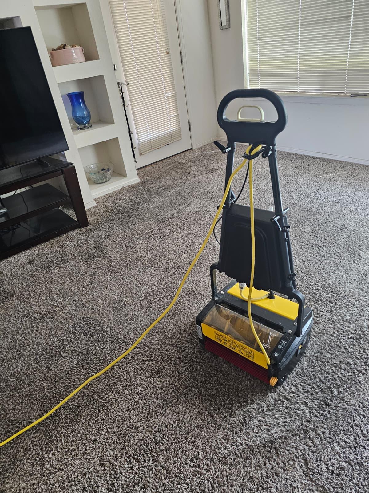 carpet cleaning Las Cruces NM, steam carpet cleaning