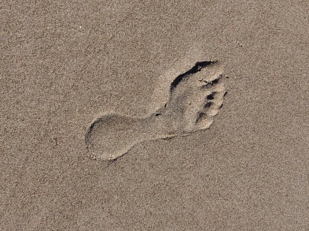 födande och döende