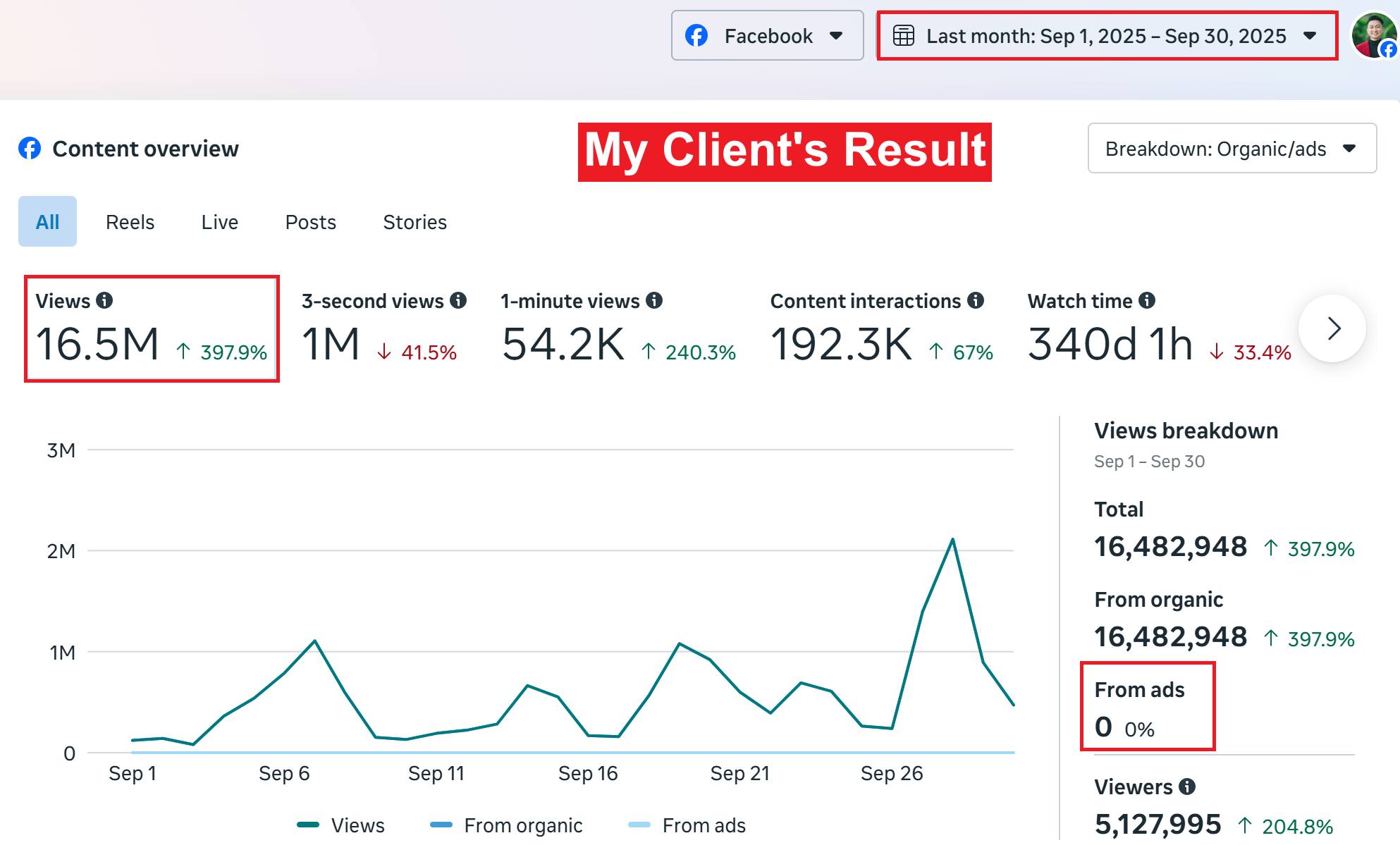 Creator of the Viral Authority System