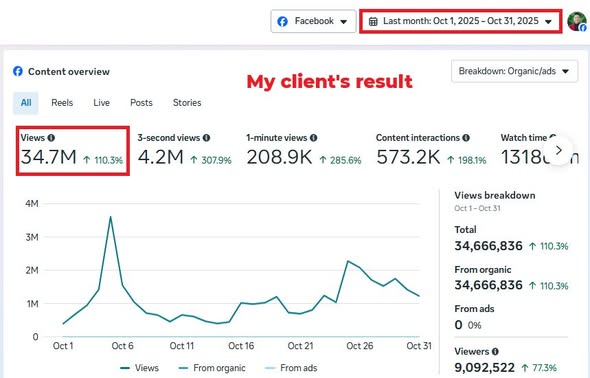 Creator of the Viral Authority System