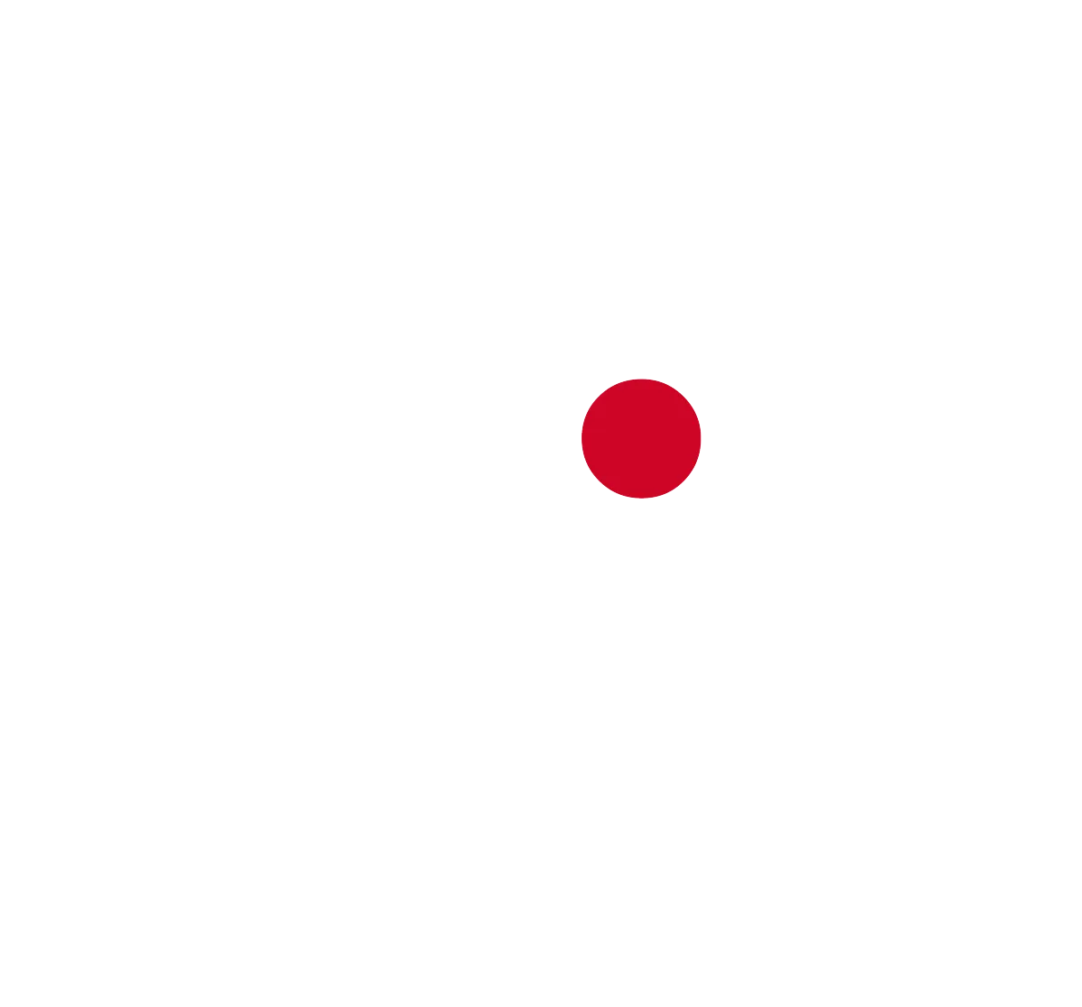 Vital Lens Logo