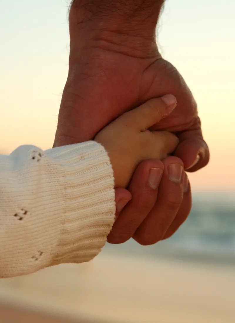 A joyful celebration gathering in a warm, sun-drenched environment