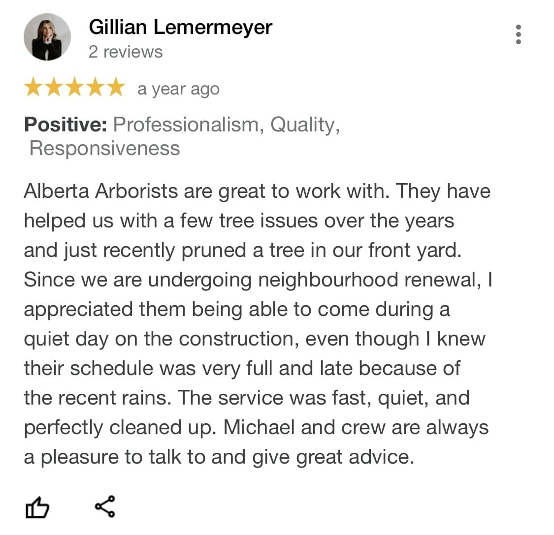 tree removal edmonton