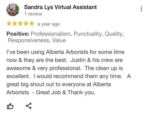 tree removal edmonton
