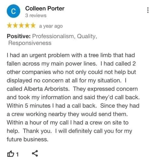 tree removal edmonton