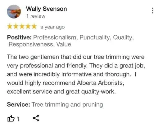 tree removal edmonton