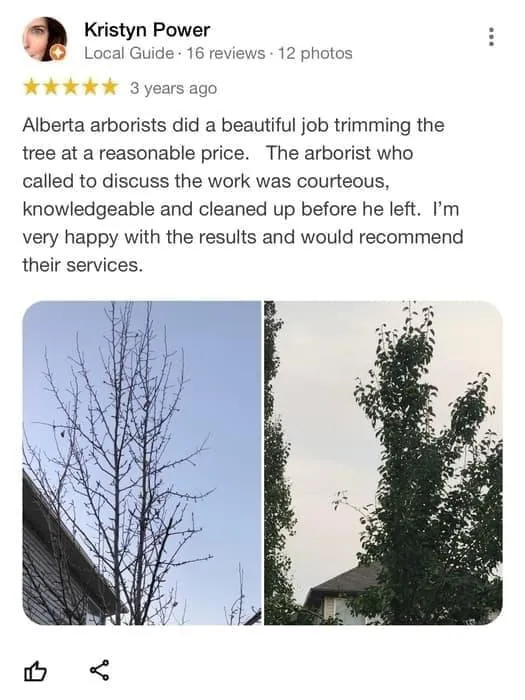 tree removal edmonton