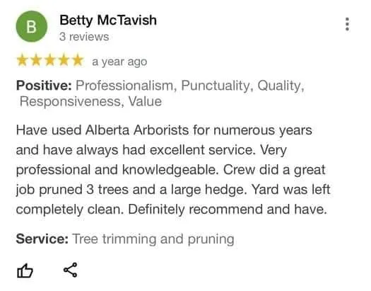 tree removal edmonton