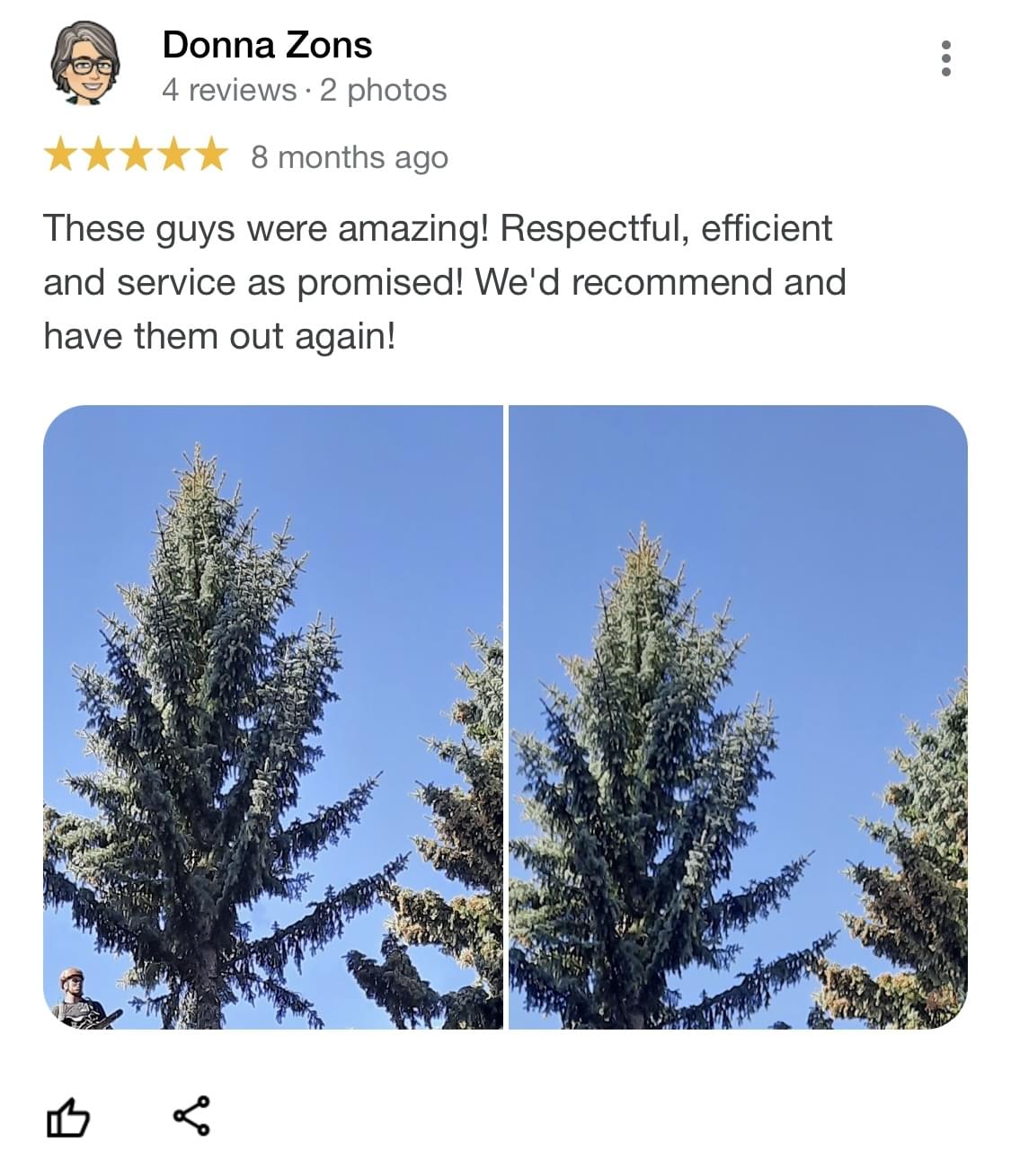 tree removal edmonton