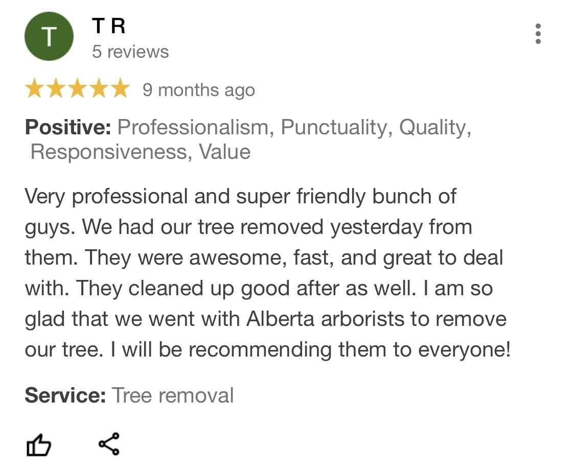 tree removal edmonton