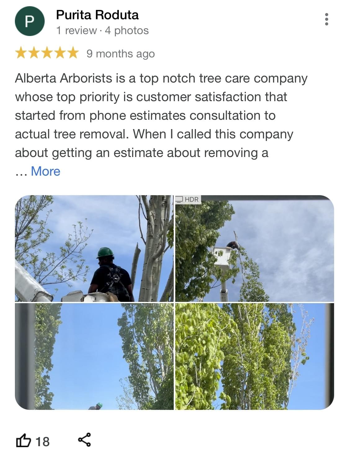 tree removal edmonton