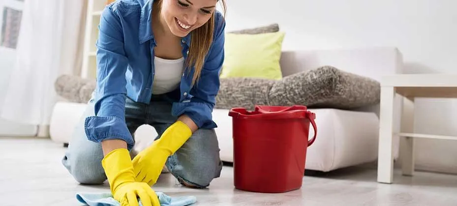 Professional cleaning Lower Hutt NZ
