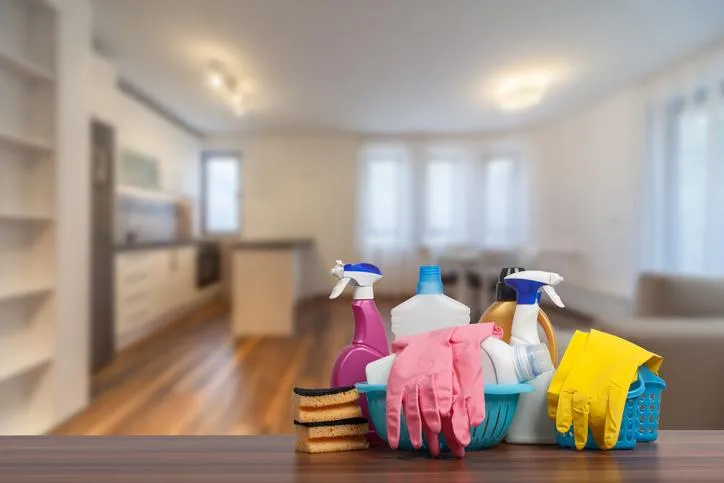 Move out Cleaning Services Lower Hutt
