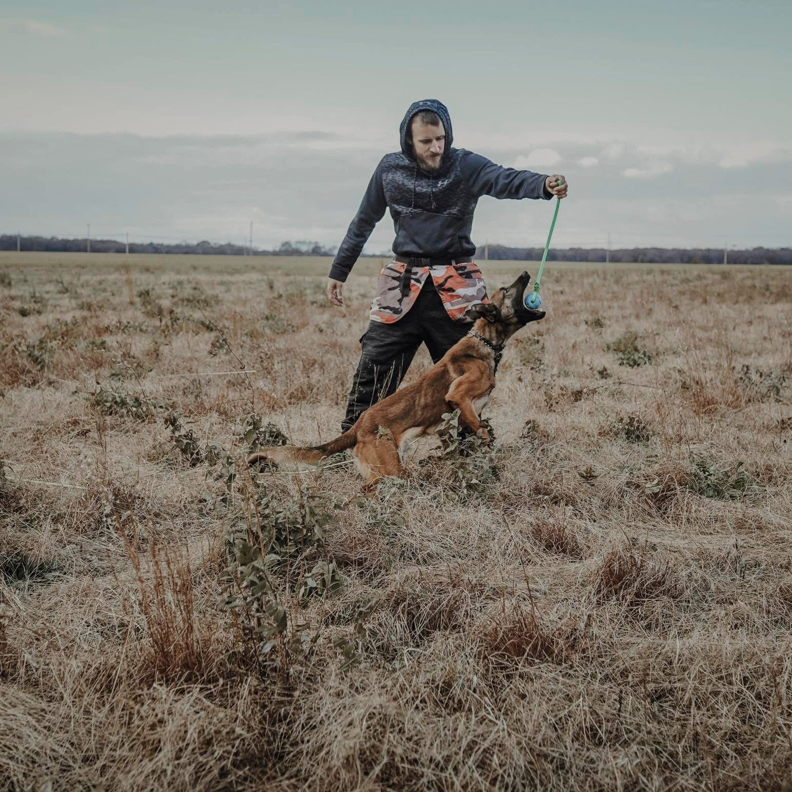 The Importance of Maintaining Your Dog's Training After a Board & Train Program