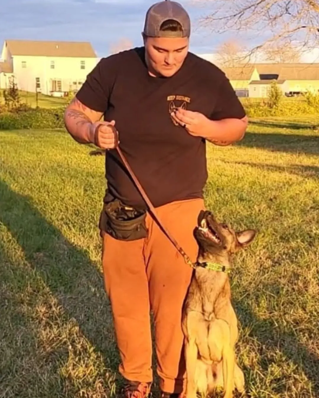 Why Professional Dog Training Is the Fastest Way to a Calm, Obedient Dog