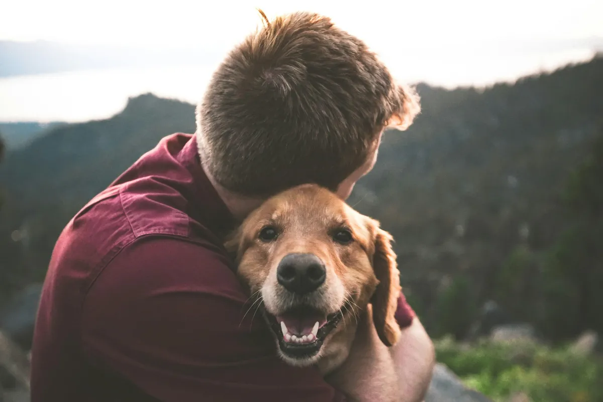 Joyful interaction between owner and adolescent dog