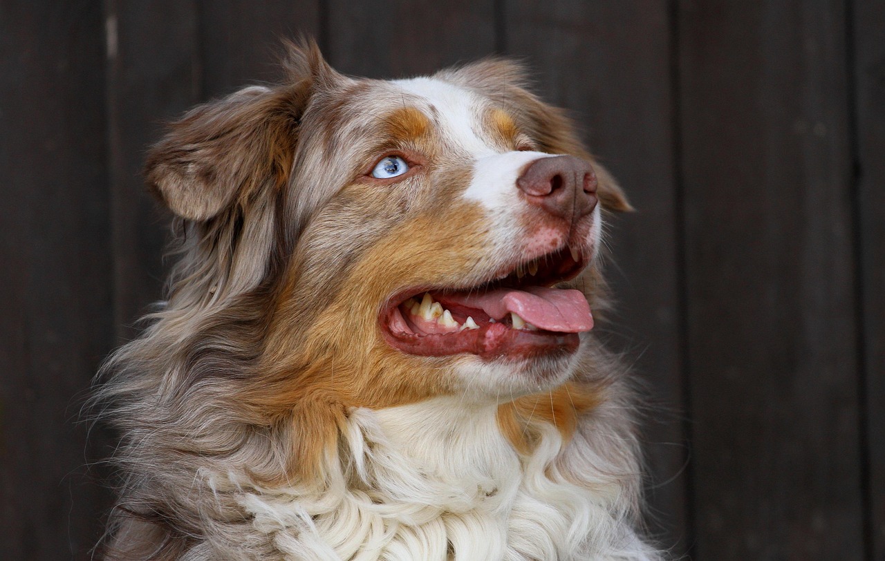 Customer portrait
