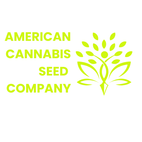 buy cannabis seeds online in minnesota