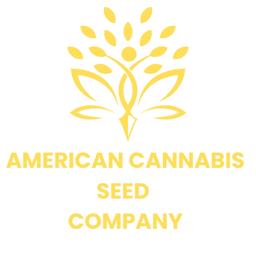 current cannabis seed specials