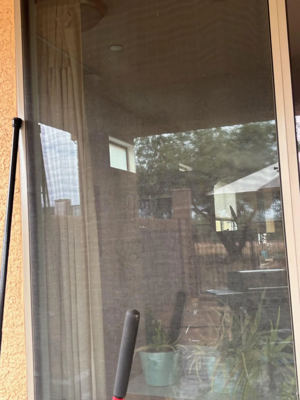 Pigeon & Bird Proofing Solutions Tucson, AZ