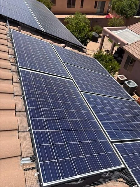 Pigeon & Bird Proofing Solutions Tucson, AZ