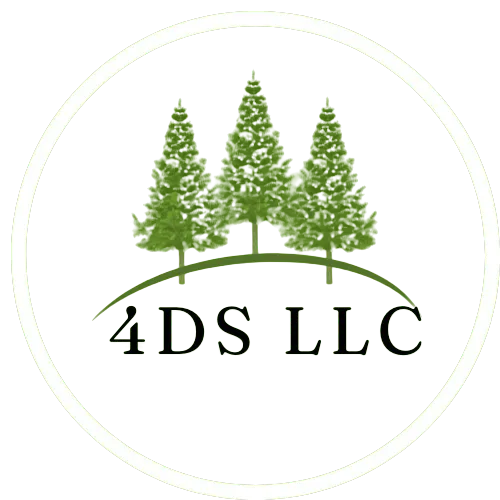 4ds hardscape logo