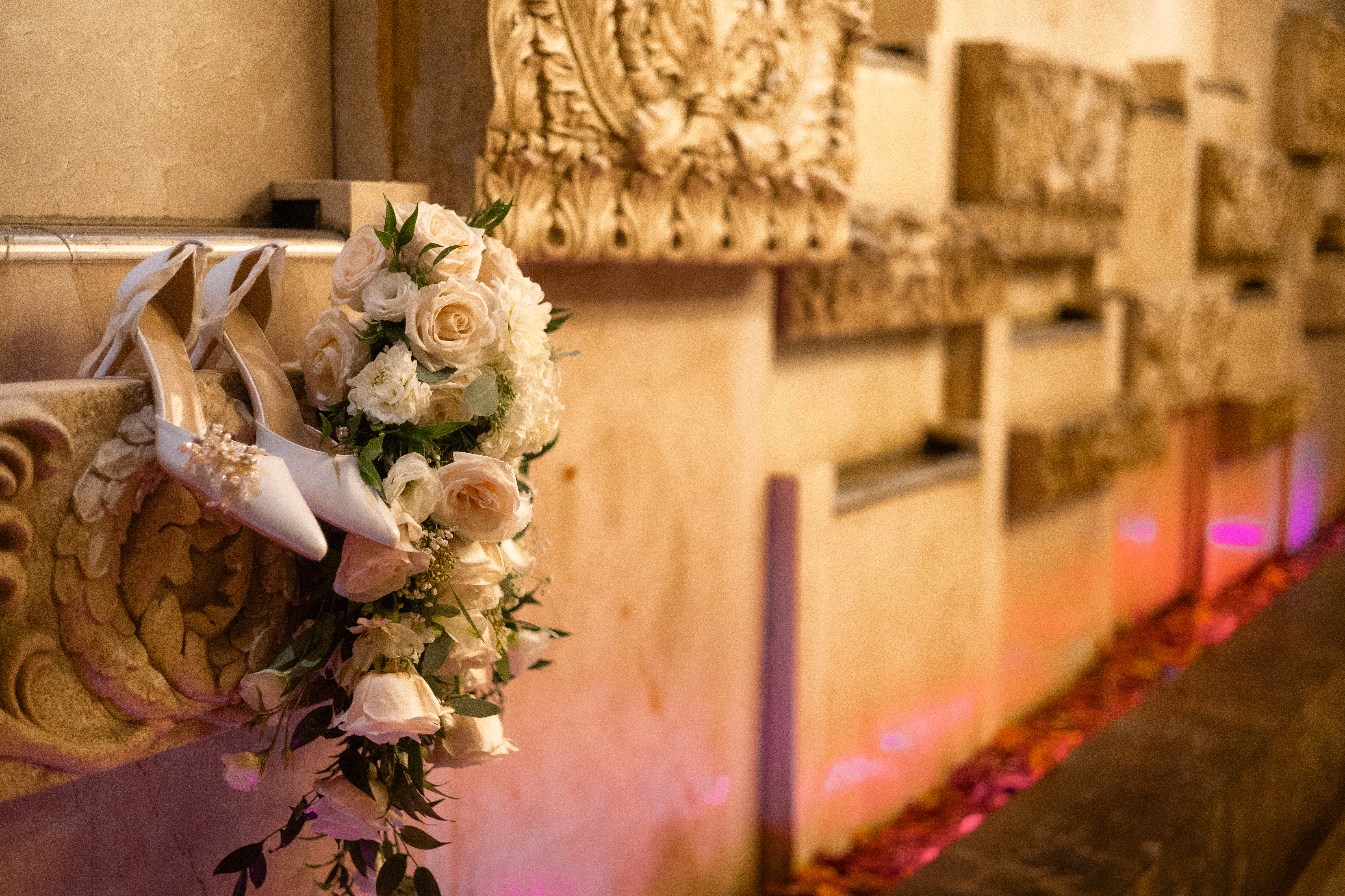 A single purple flower sitting in the middle of a field