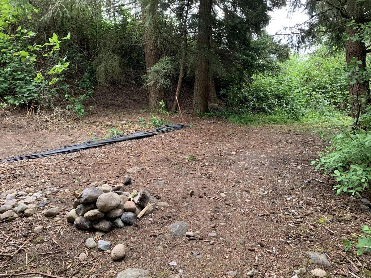 property cleanout after image