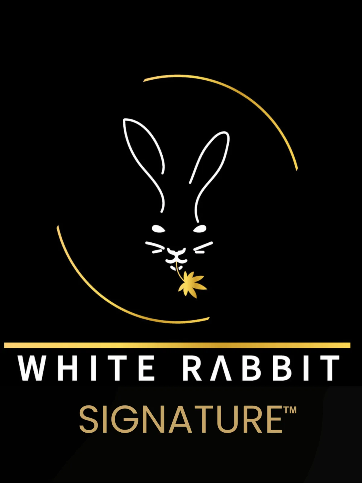 White Rabbit Signature