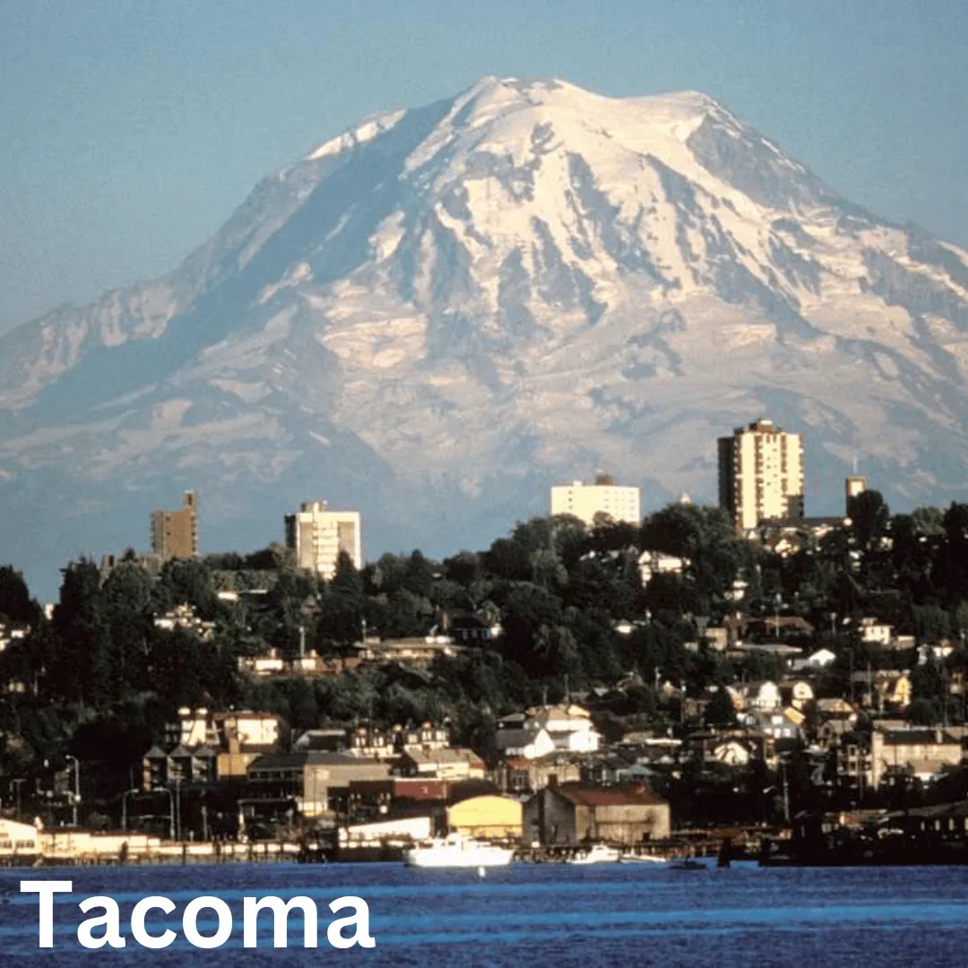 tacoma pest control