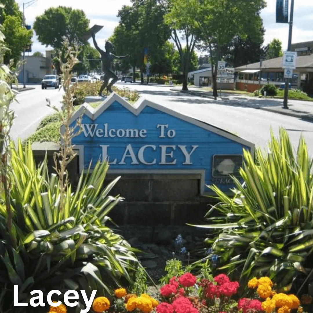 Pest control in Lacey