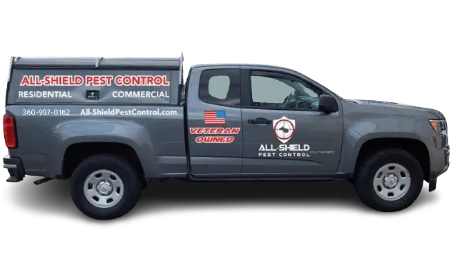 professional pest control federal way