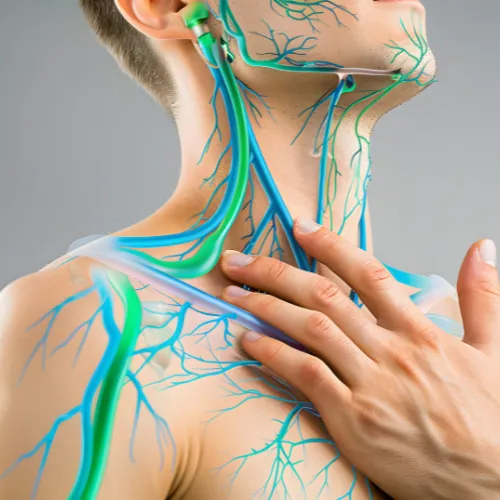 Lymphatic Drainage Massage Diagram showing Neck Lymph Nodes and Detox Therapy