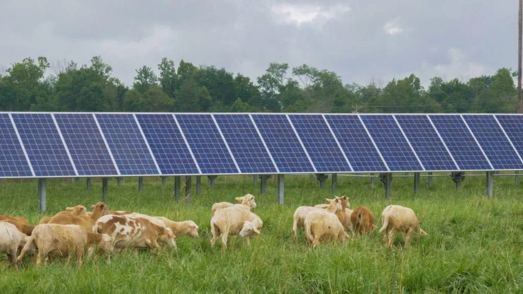 Rural Solar Services Image