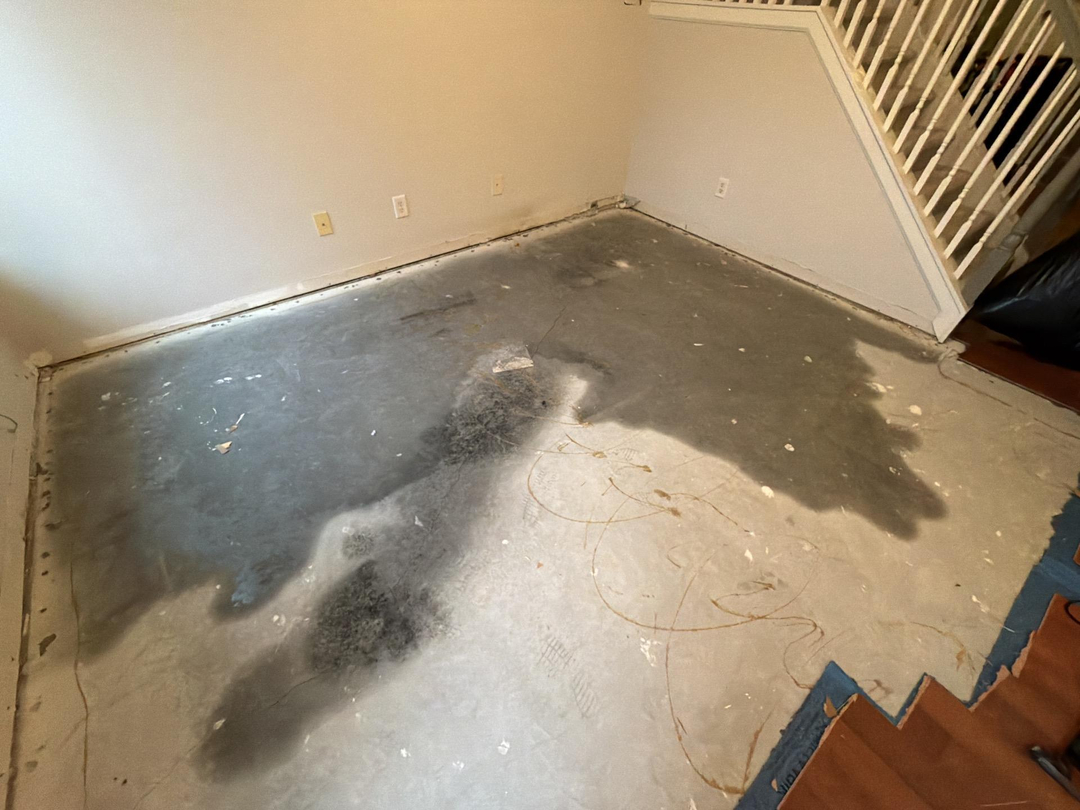 a river running through a lush green countryside