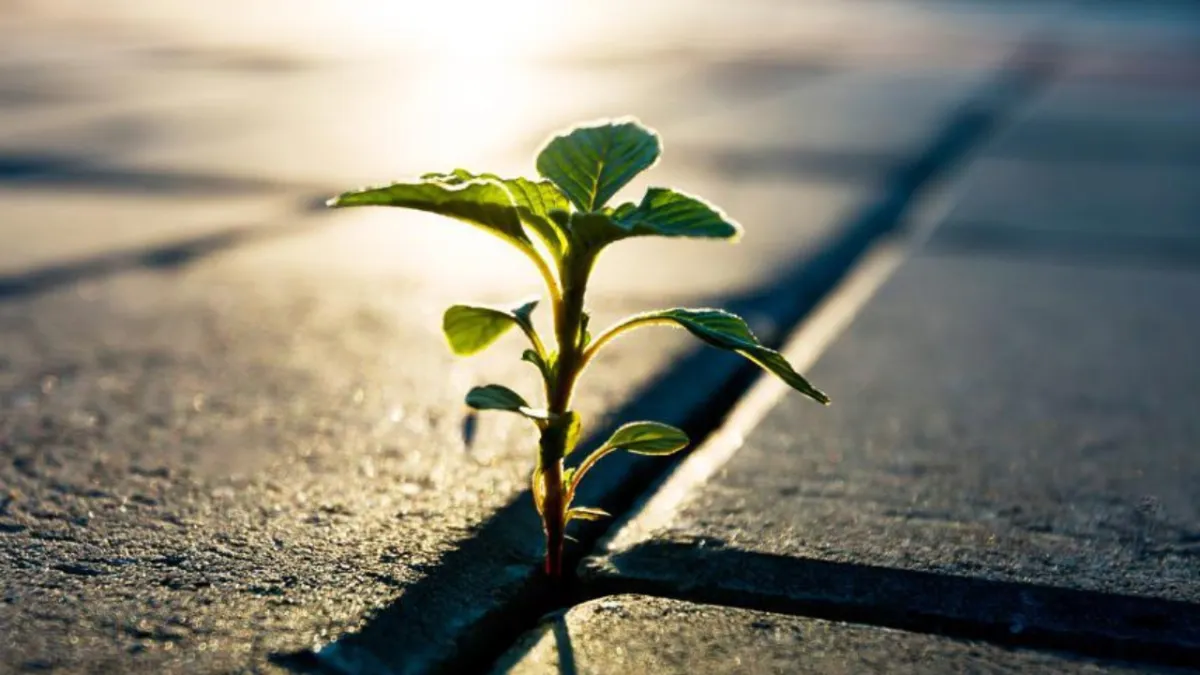 Self-Leadership: 3 Lessons That Can Change Your Life