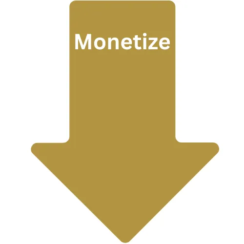 Next Steps Arrow Monetize