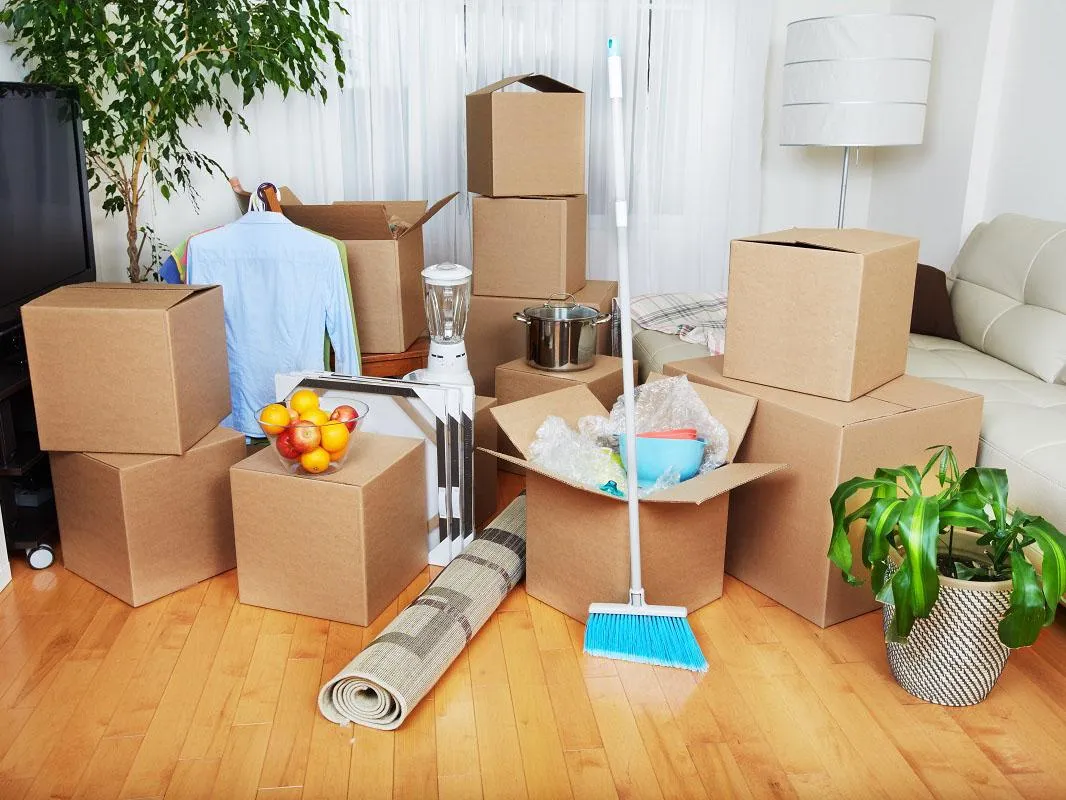 move in and move out cleaning nearby