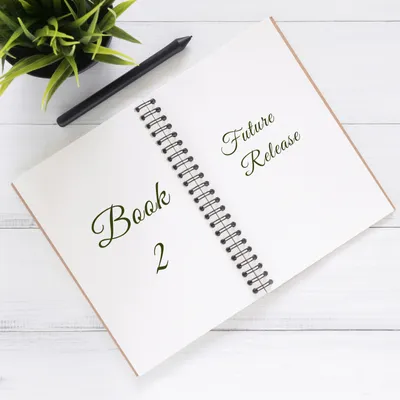 Book 2 Future Release