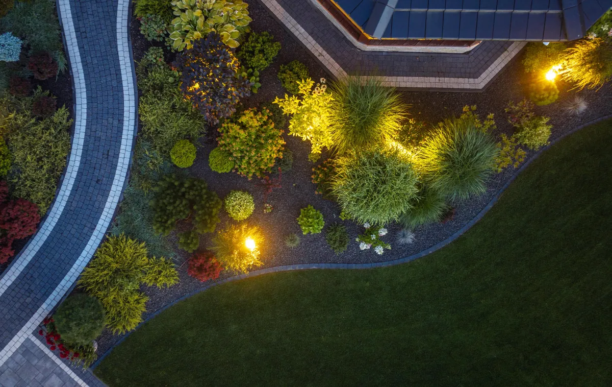 Native shrub border along backyard deck