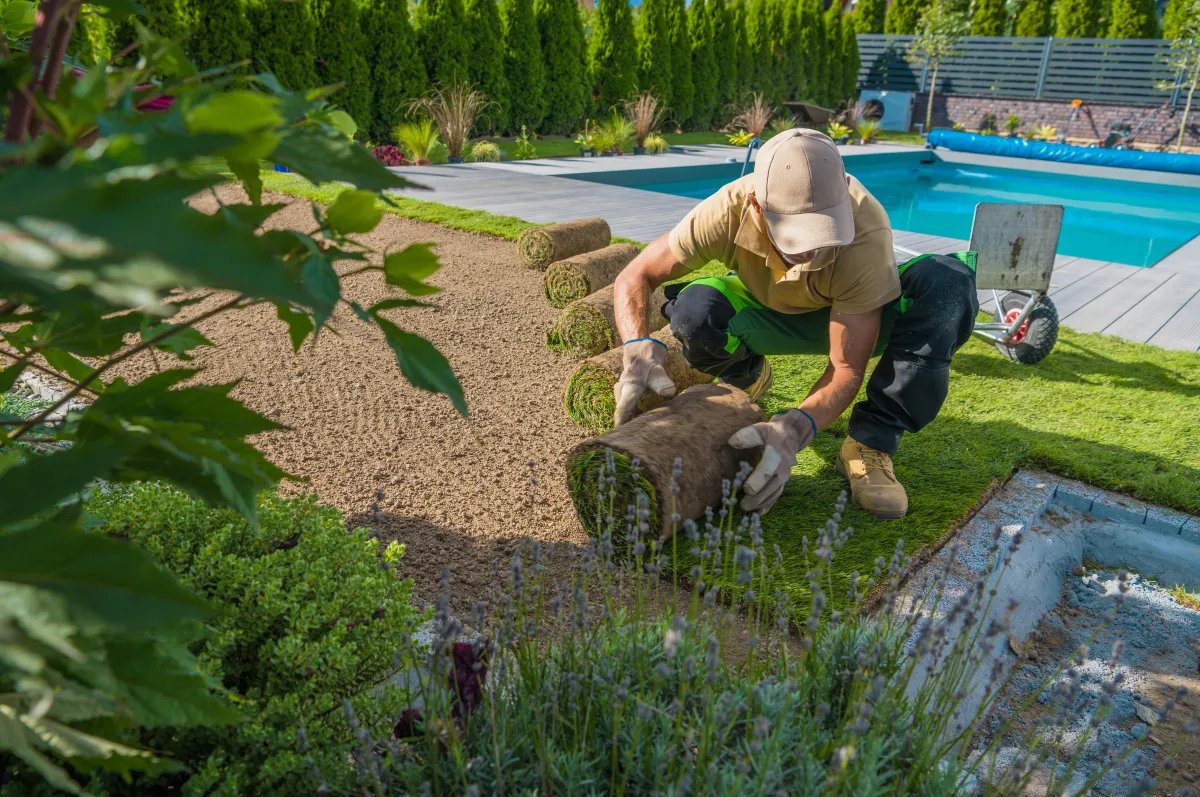Seasonal flower bed planting in front yard