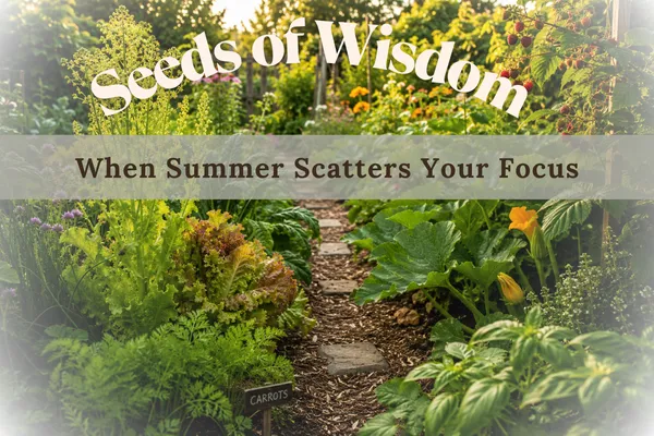 Seeds of Wisdom: When Summer Scatters Your Focus