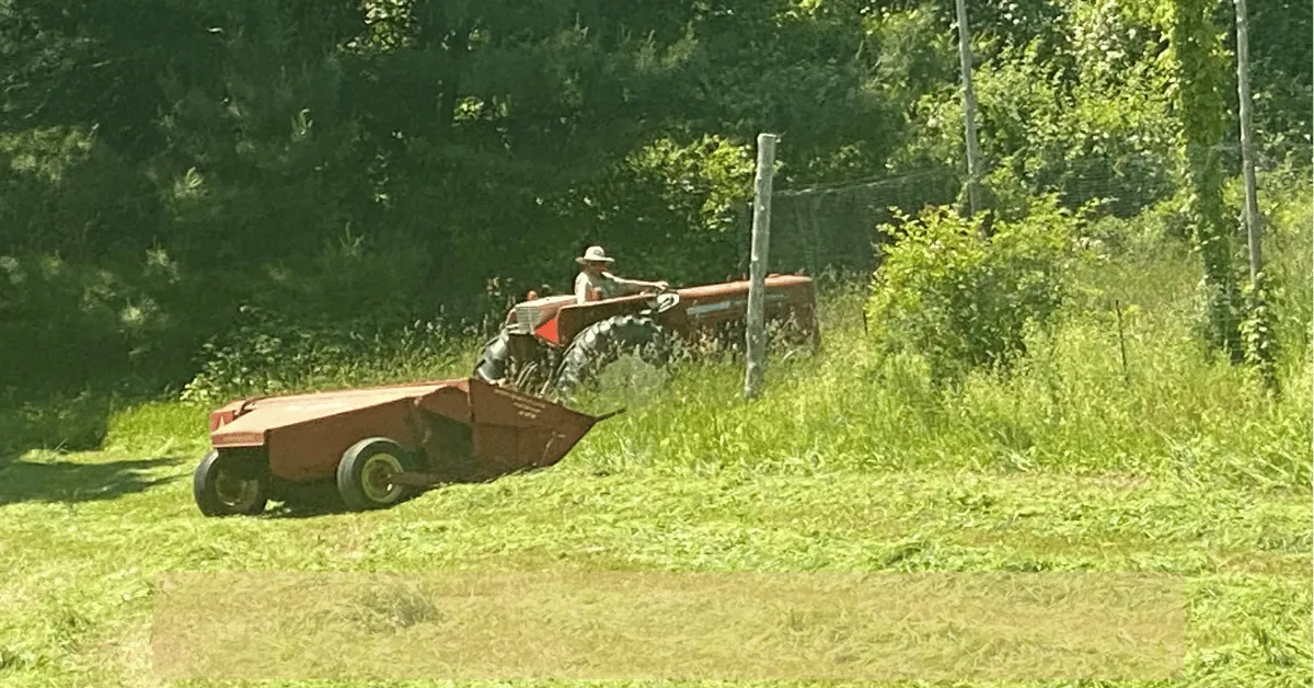 A man on a red tractor haying the field, embodying the sacred rhythm of land stewardship in action.