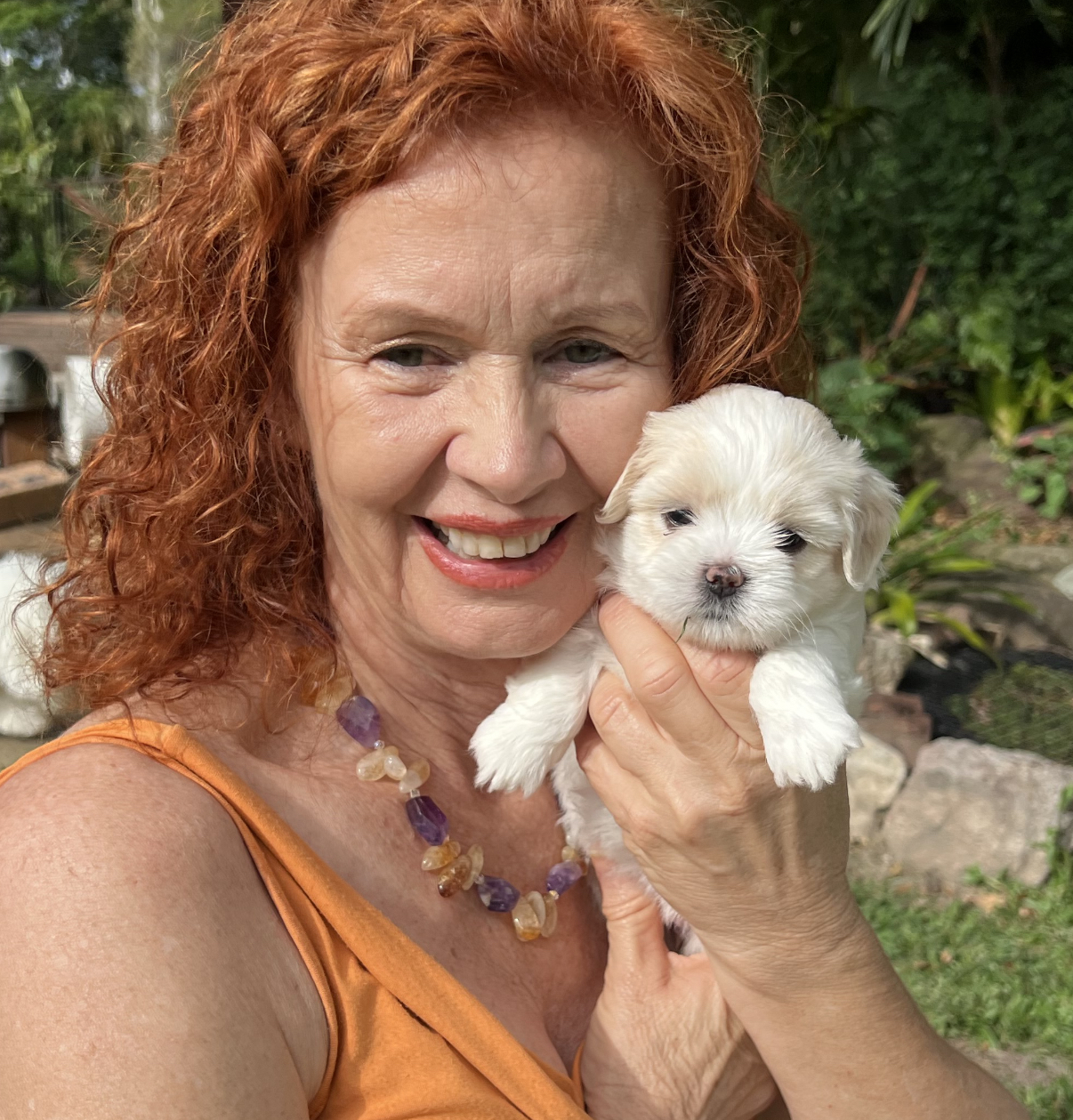 Choosing the Right Dog Breed for Your Home, Lifestyle, and Family