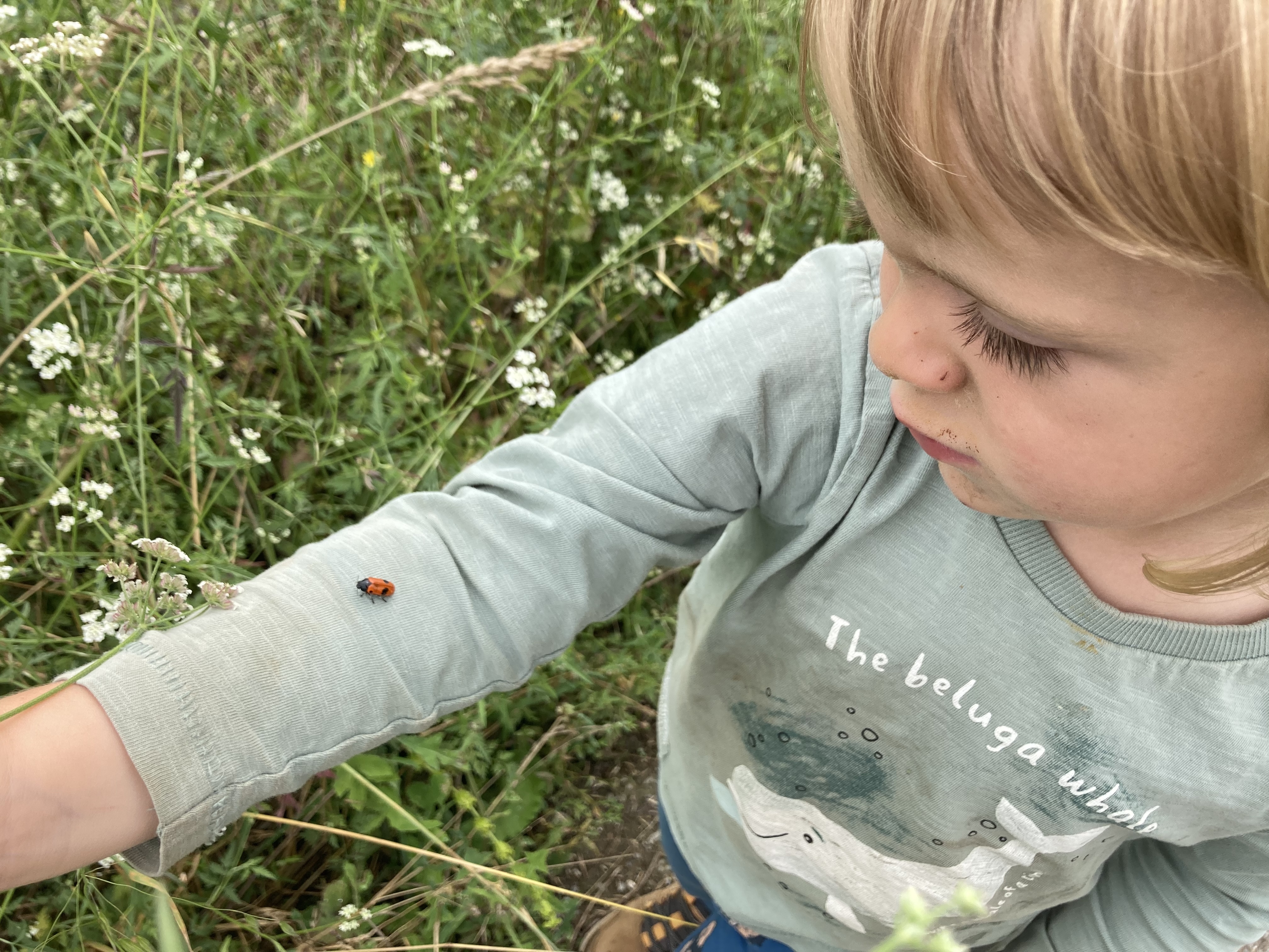 What Is Nature-Led Parenting?