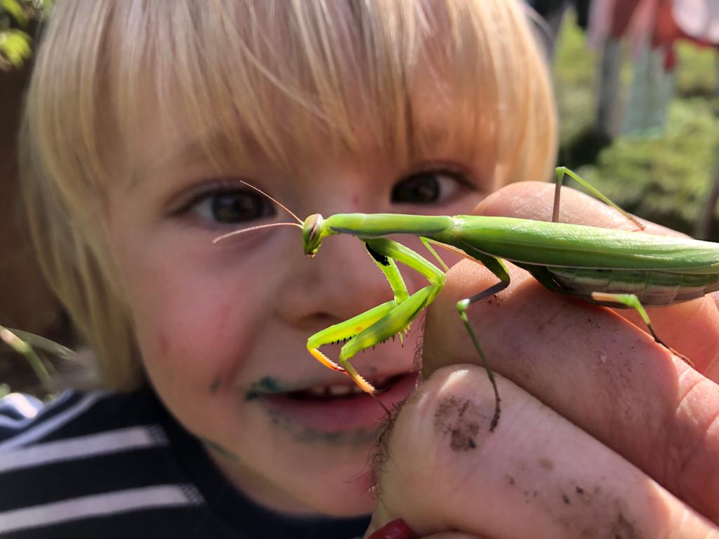 Why Children Behave Better Outside