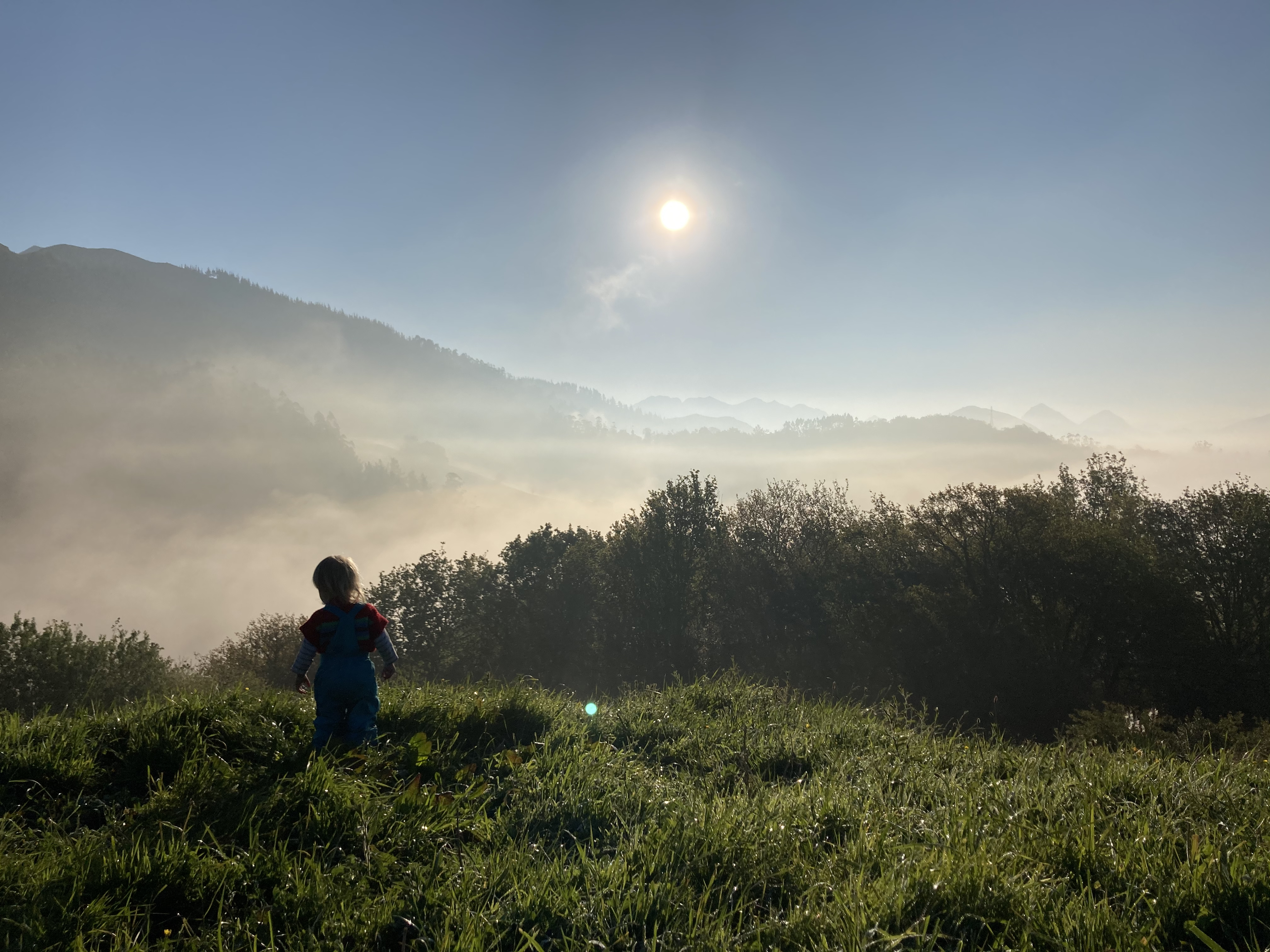 Child in the mist