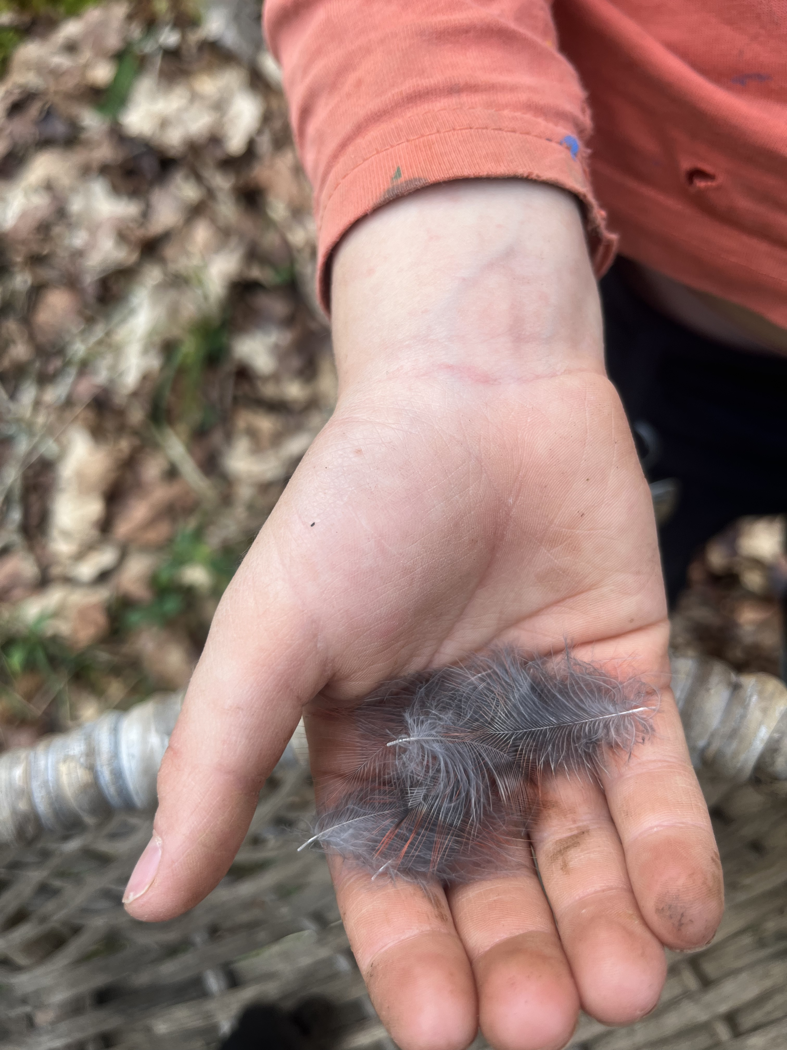 What Nature-Led Parenting Looks Like in a Real Day