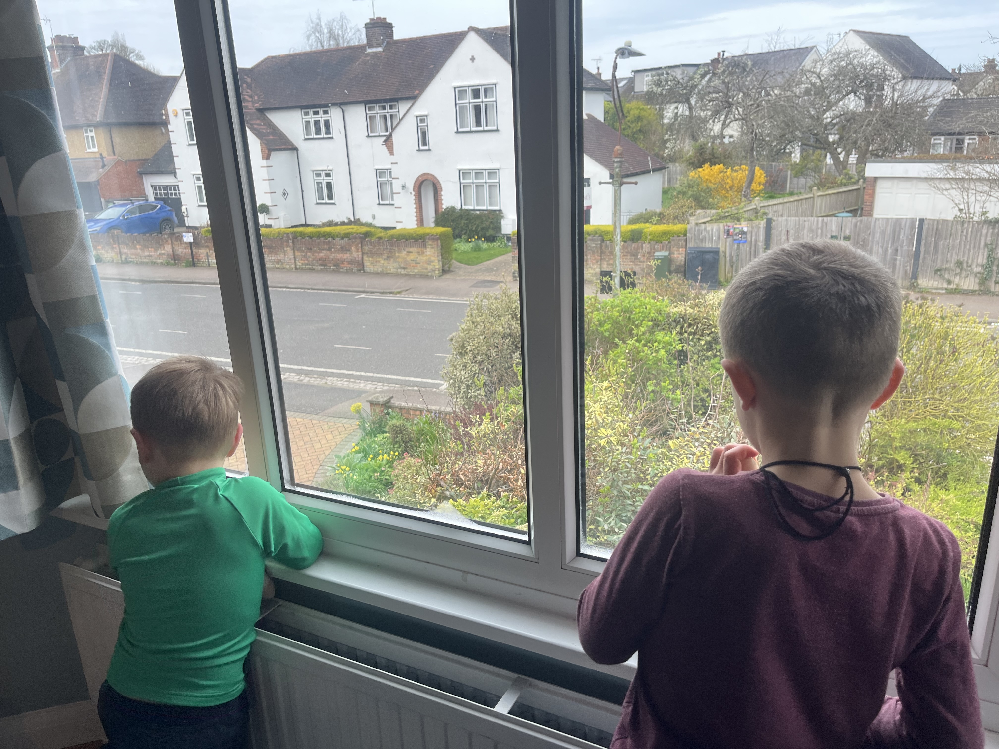 A Bird, a Tantrum, and What Nature Taught Me About Calming My Child